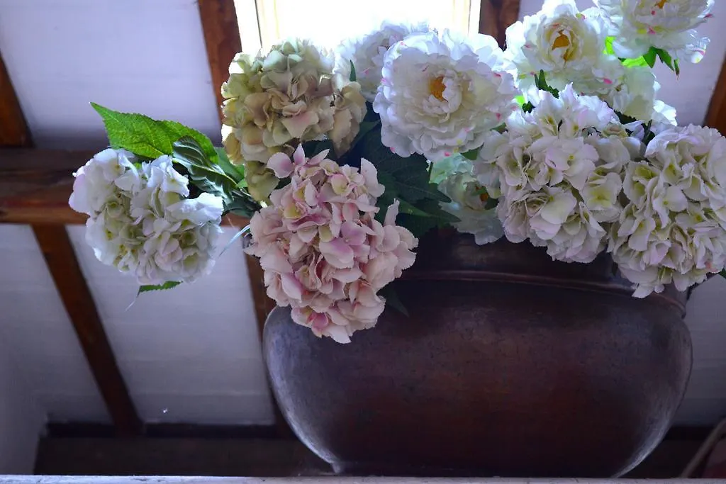 Cosetta Guest House Чертальдо Италия